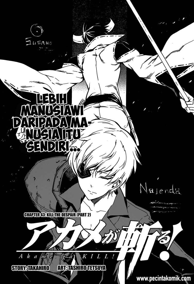 Akame ga KILL! Chapter 44