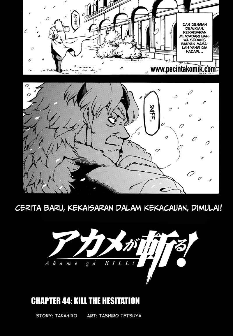 Akame ga KILL! Chapter 45