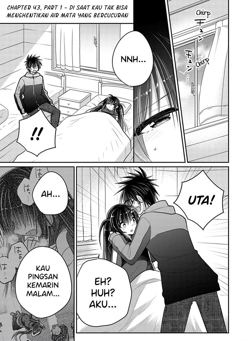 Siscon Ani to Brocon Imouto ga Shoujiki ni Nattara Chapter 43.1