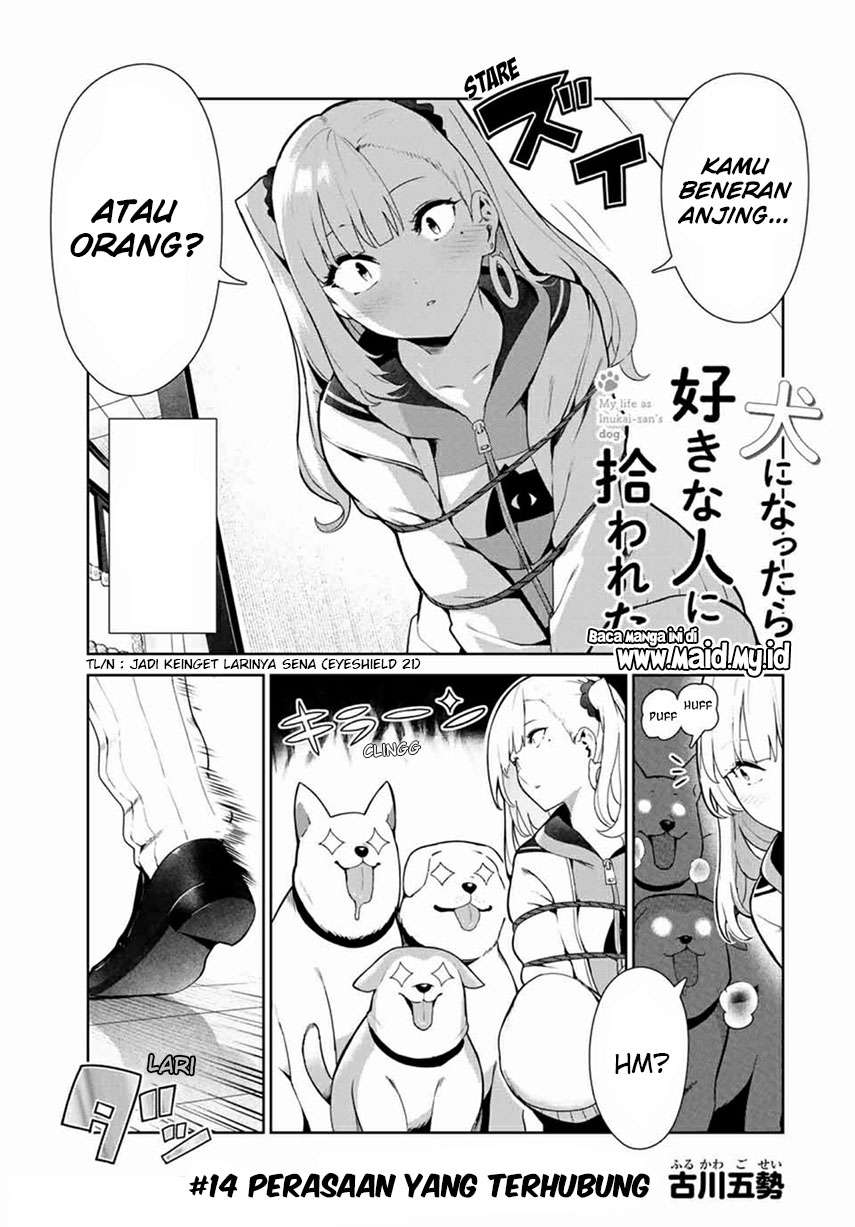 Inu ni nattara suki na hito ni hirowareta Chapter 14