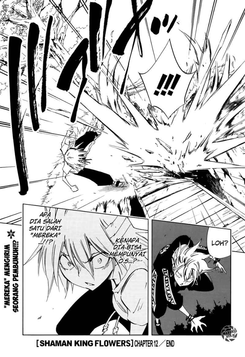 Shaman King Flowers Chapter 12