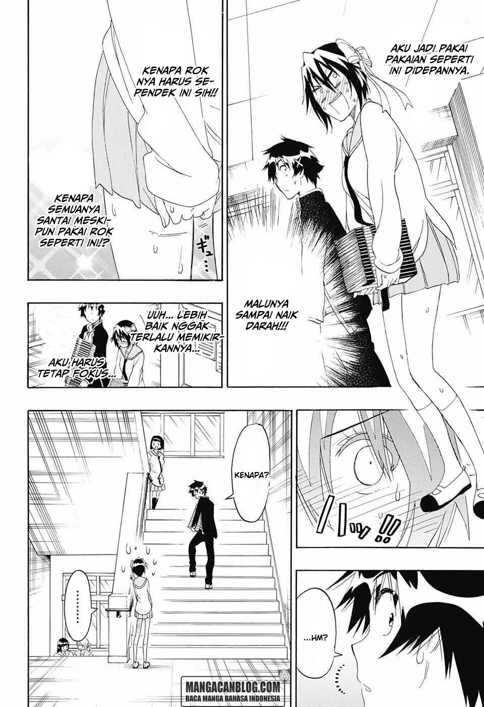 Nisekoi Chapter 205