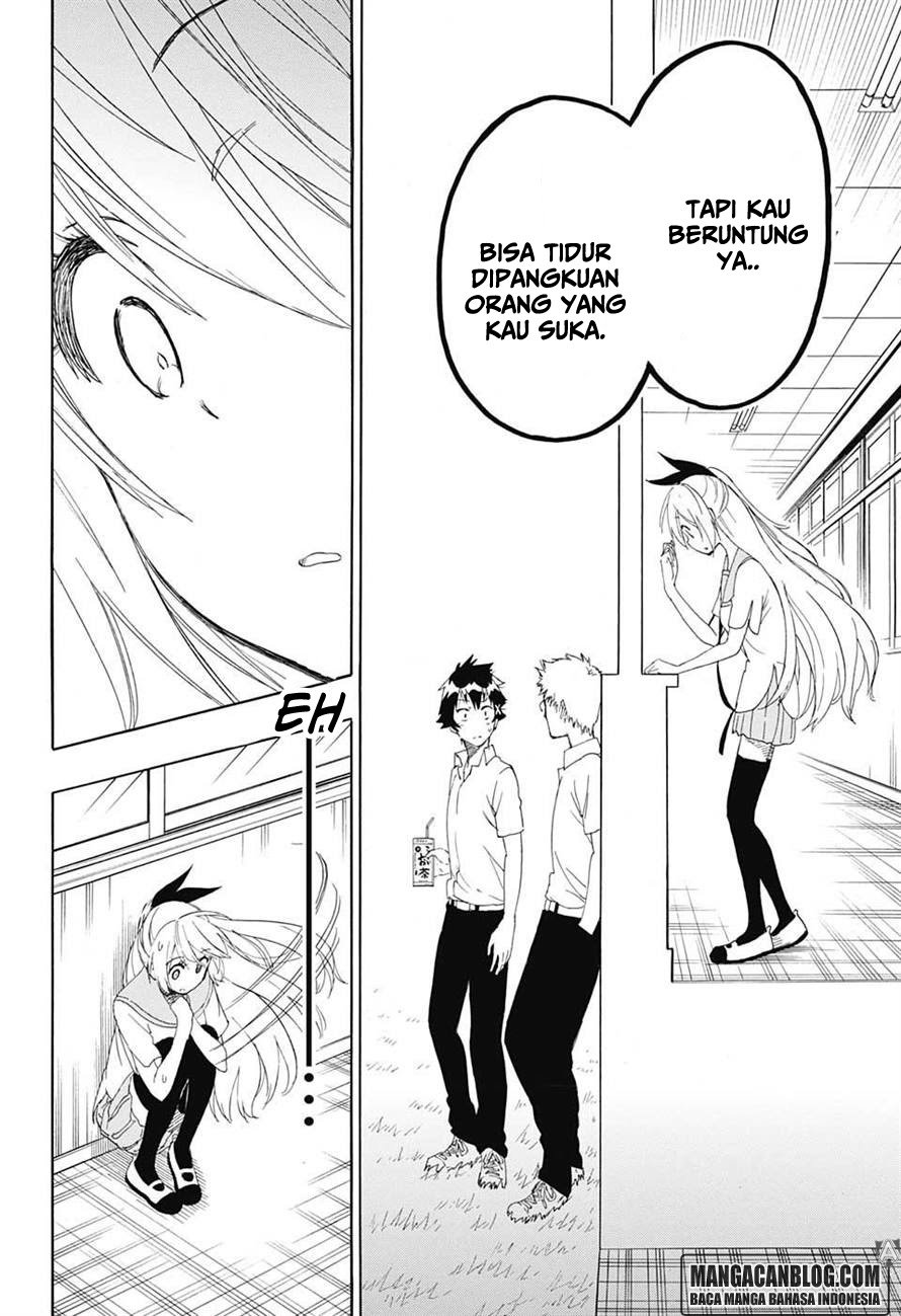 Nisekoi Chapter 212