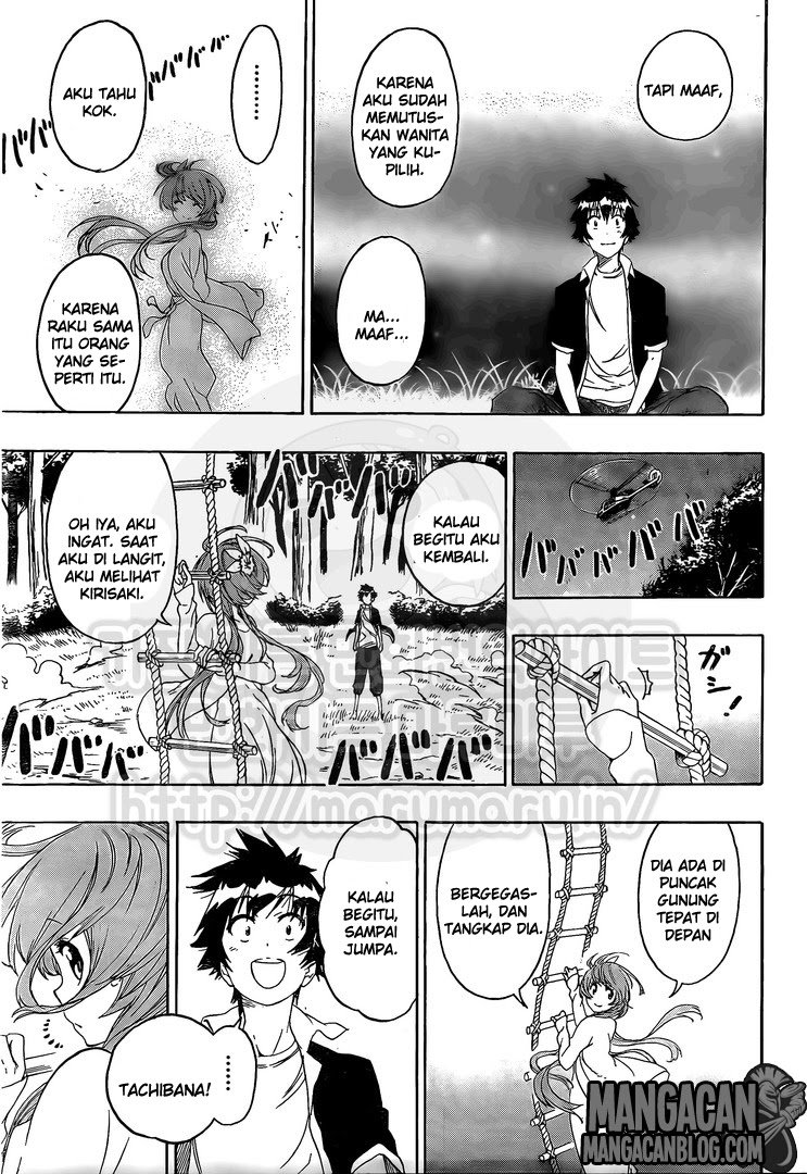 Nisekoi Chapter 219