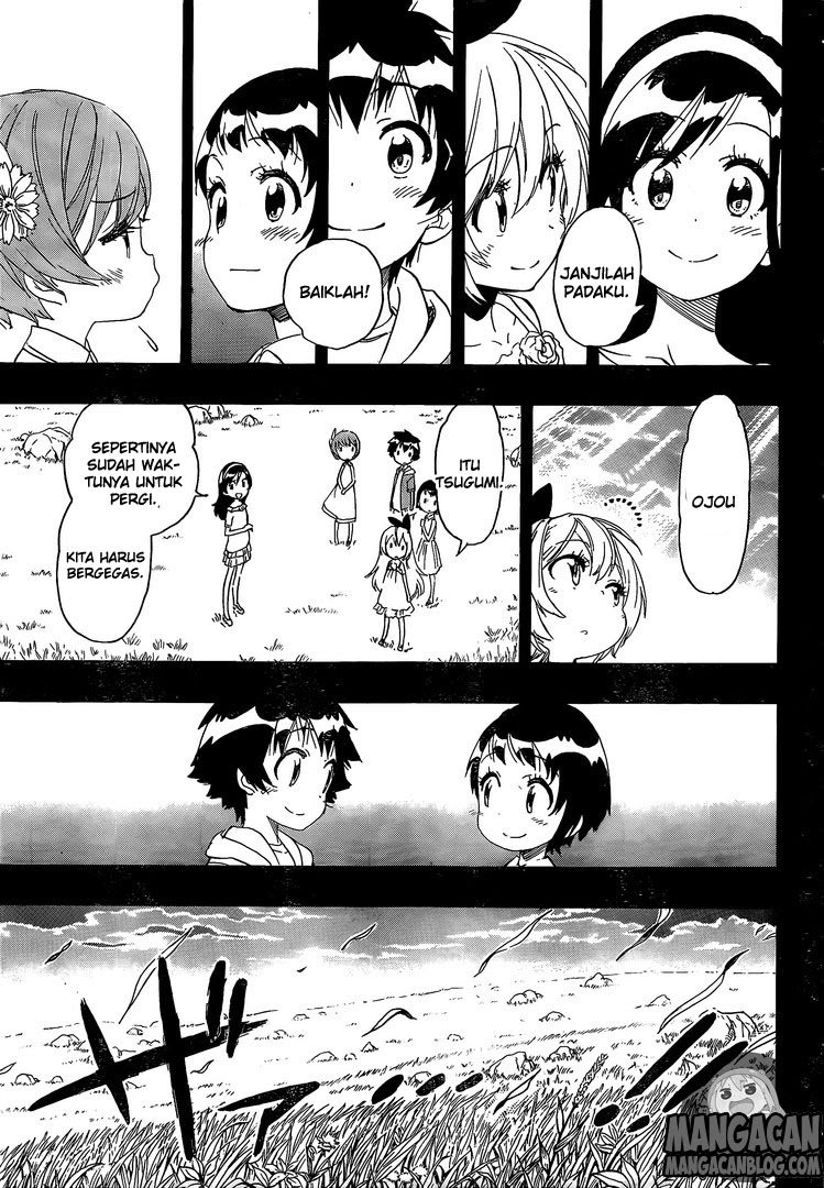 Nisekoi Chapter 221