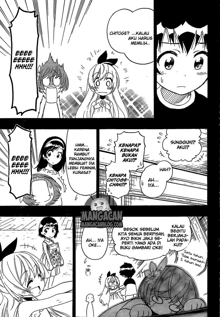 Nisekoi Chapter 221