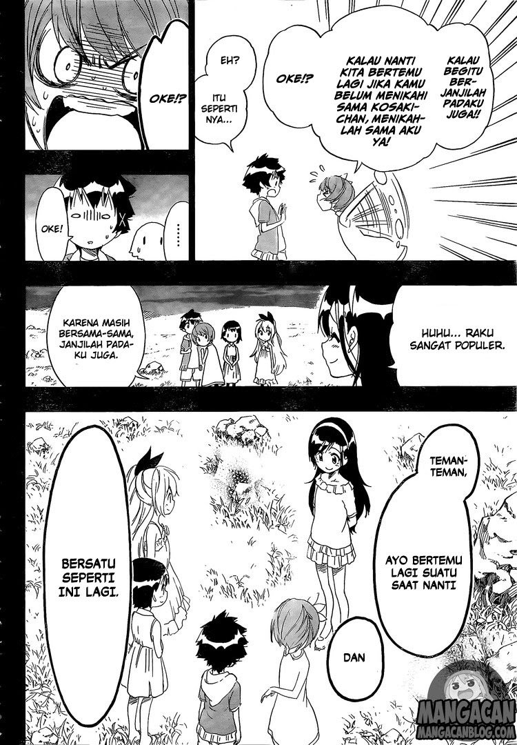 Nisekoi Chapter 221