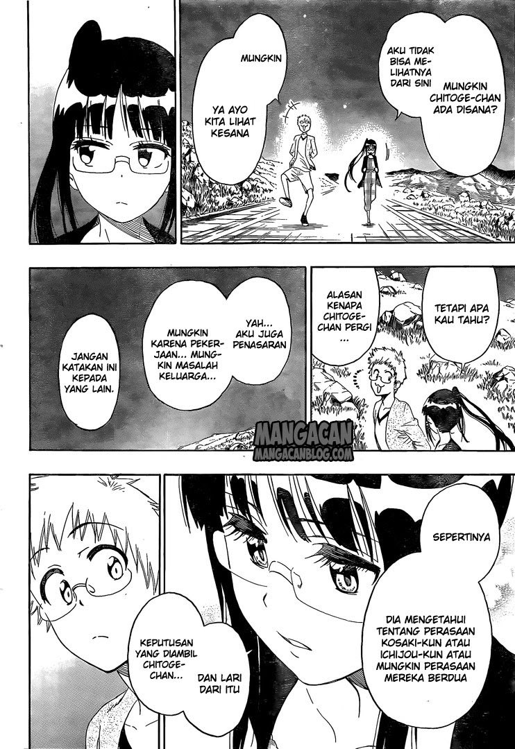 Nisekoi Chapter 223