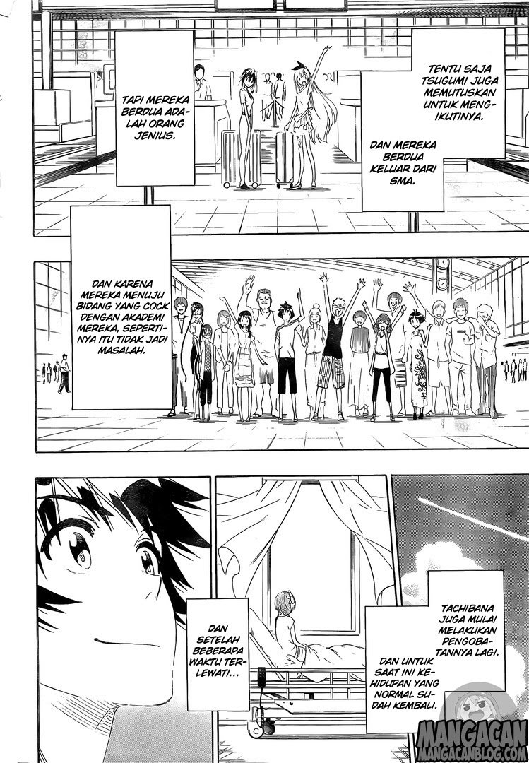 Nisekoi Chapter 228