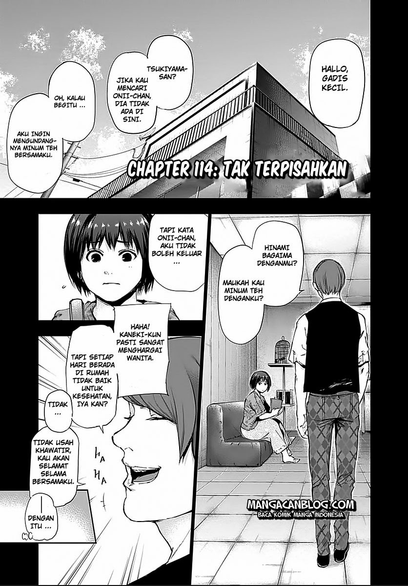 Tokyo Ghoul Chapter 114