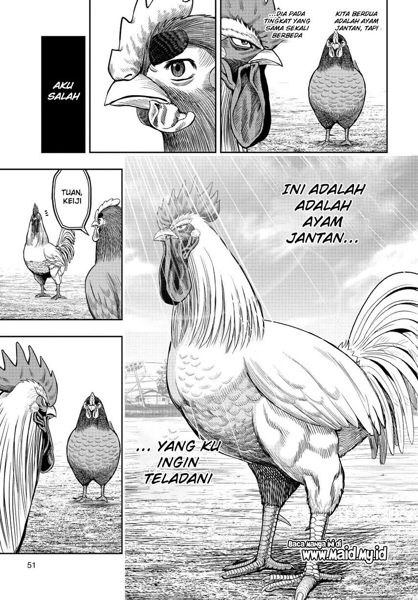 Rooster Fighter Chapter 11