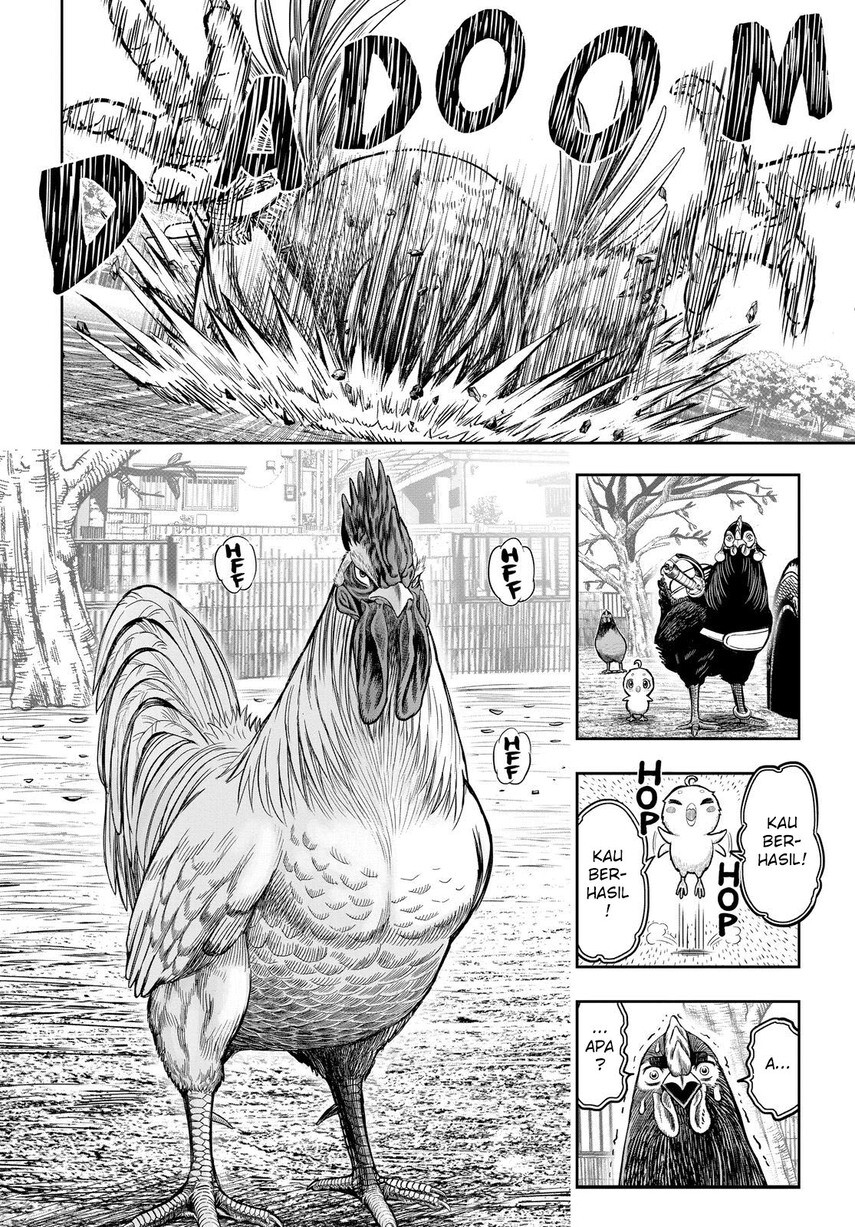 Rooster Fighter Chapter 11