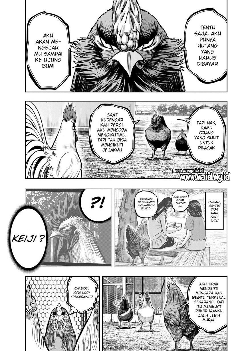 Rooster Fighter Chapter 11