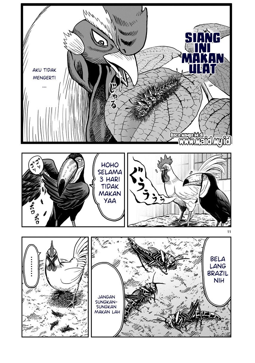 Rooster Fighter Chapter 3