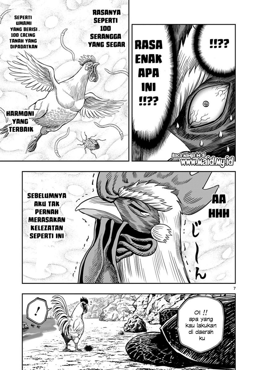Rooster Fighter Chapter 4
