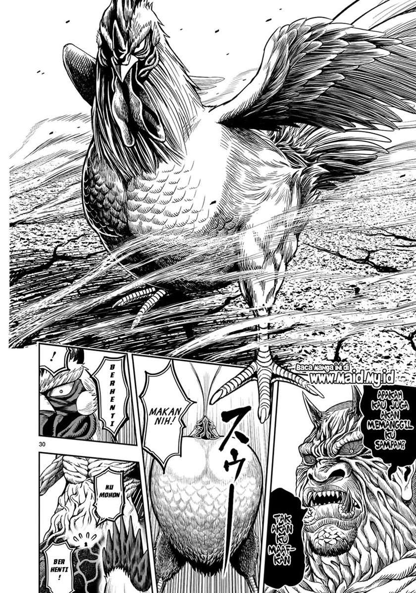 Rooster Fighter Chapter 5