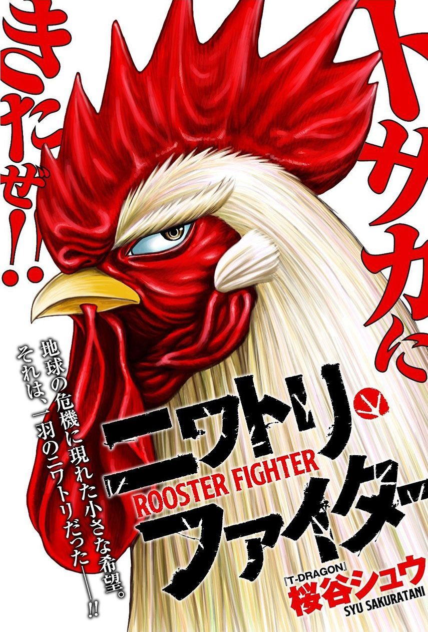 Rooster Fighter Chapter 7