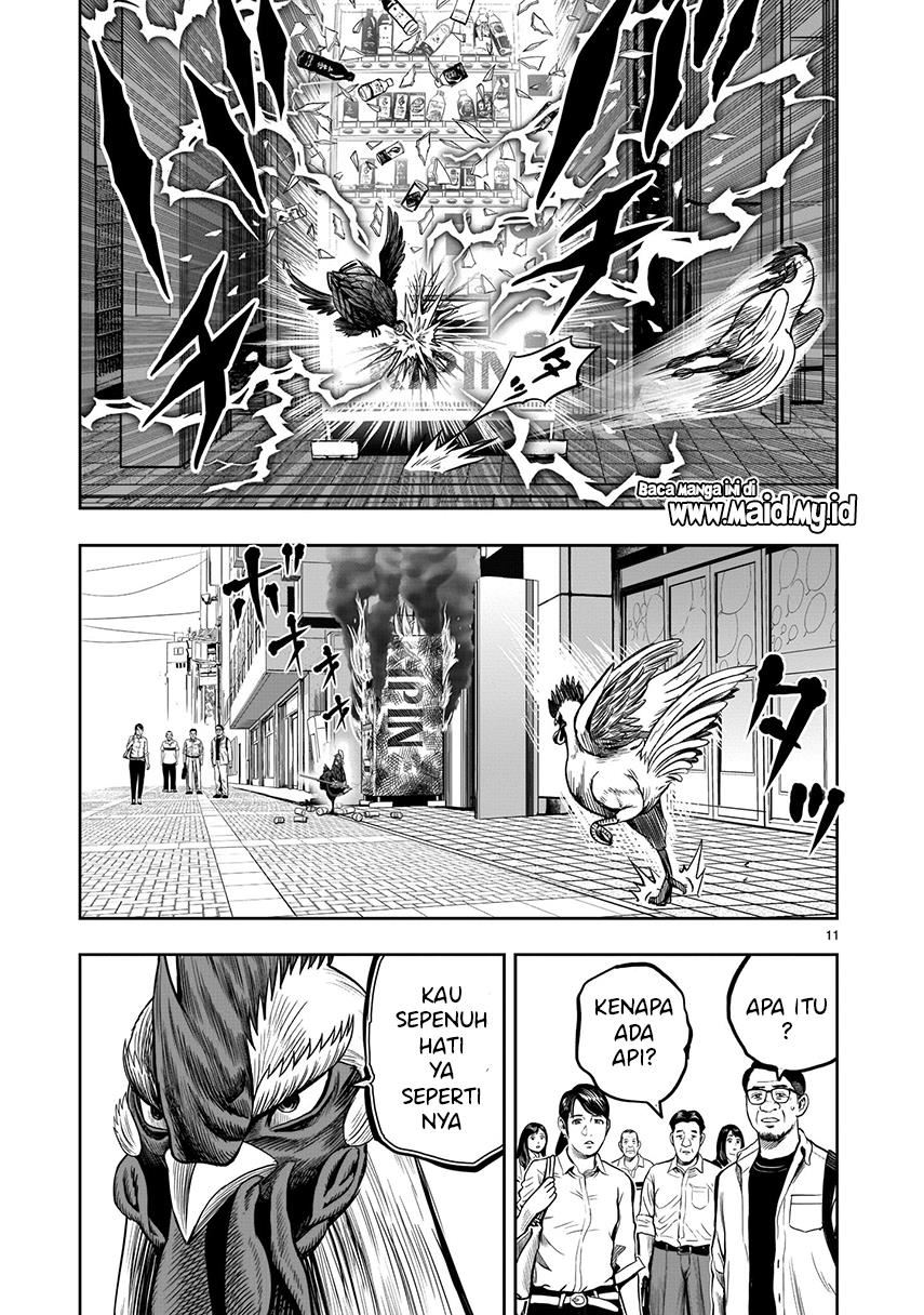 Rooster Fighter Chapter 7