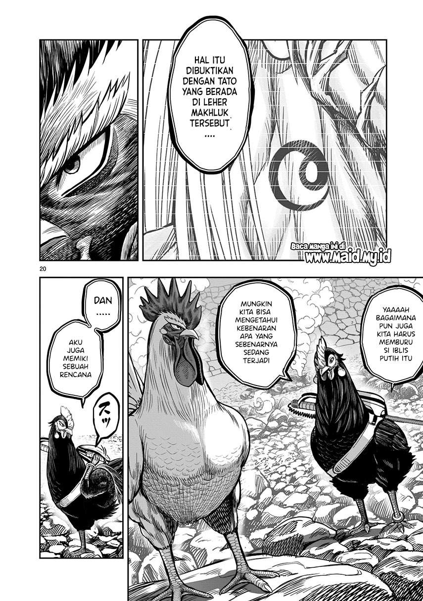 Rooster Fighter Chapter 8