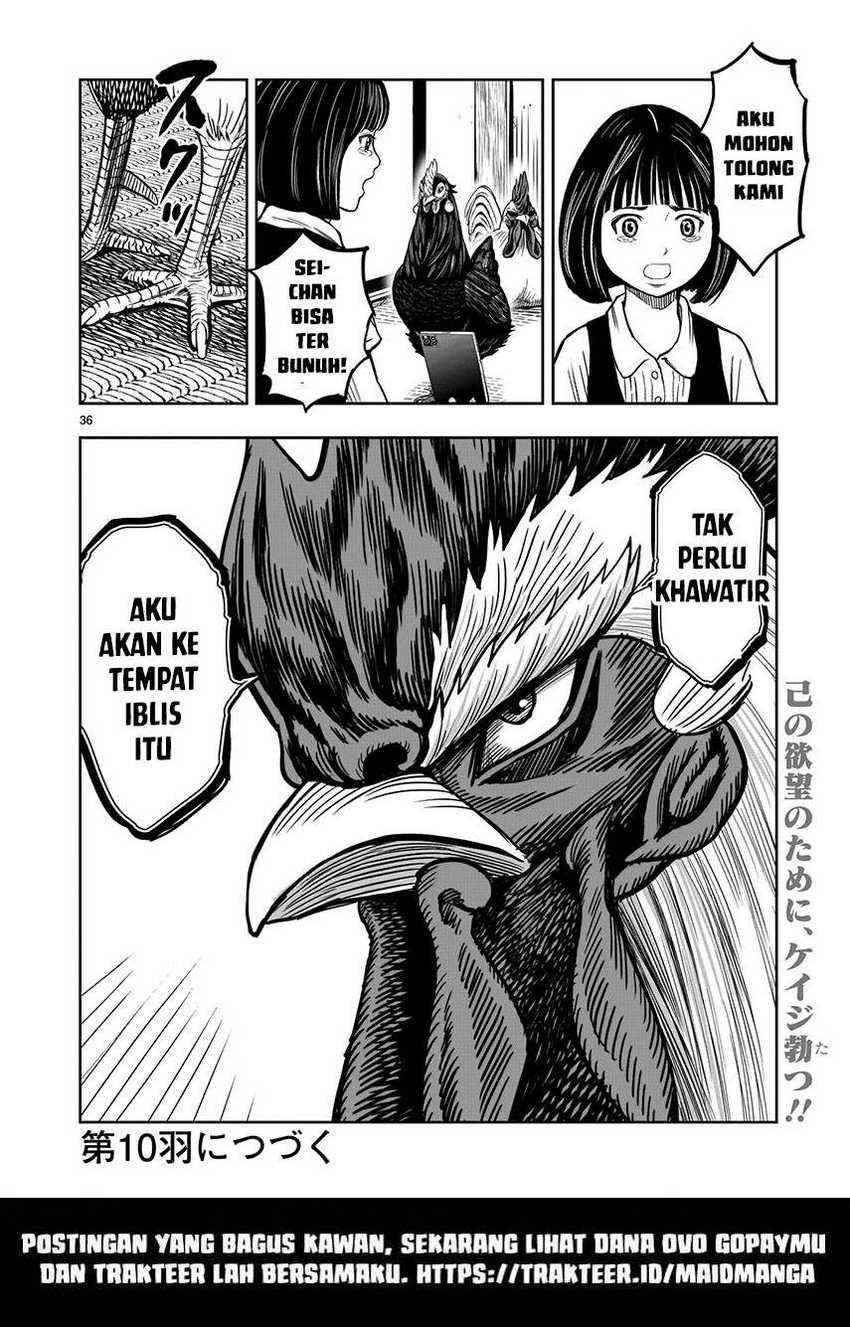 Rooster Fighter Chapter 9