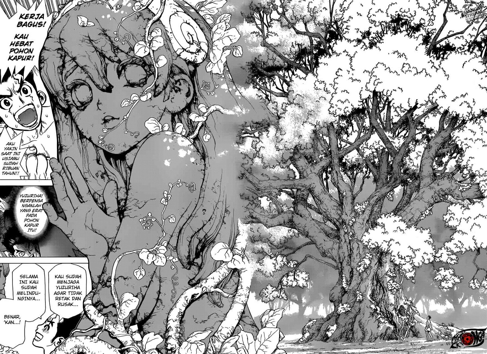 Dr. Stone Chapter 01