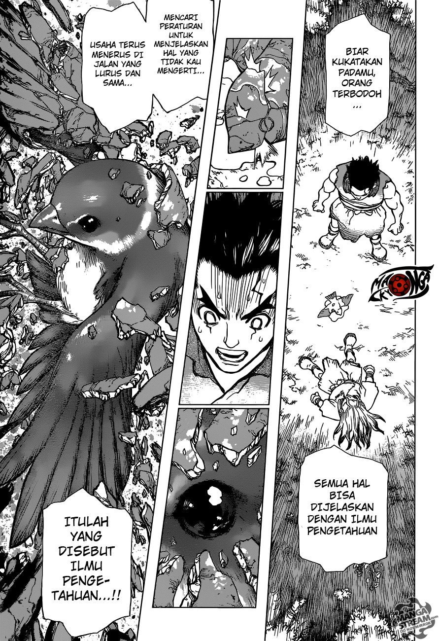 Dr. Stone Chapter 02