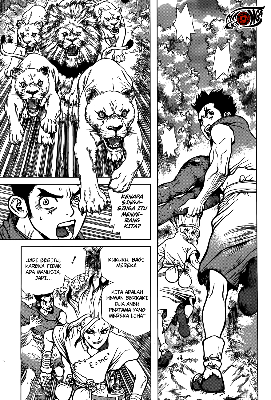 Dr. Stone Chapter 03