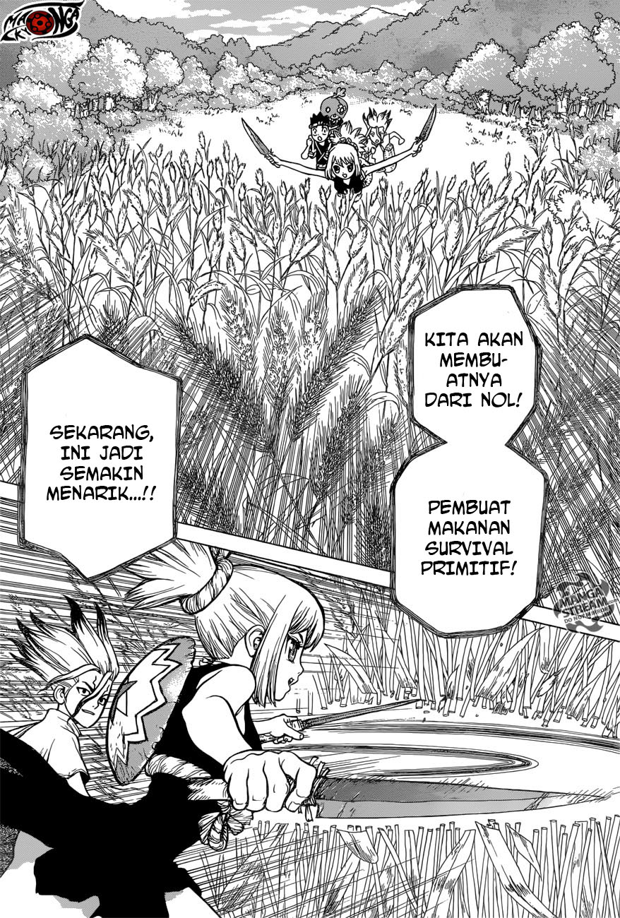 Dr. Stone Chapter 22