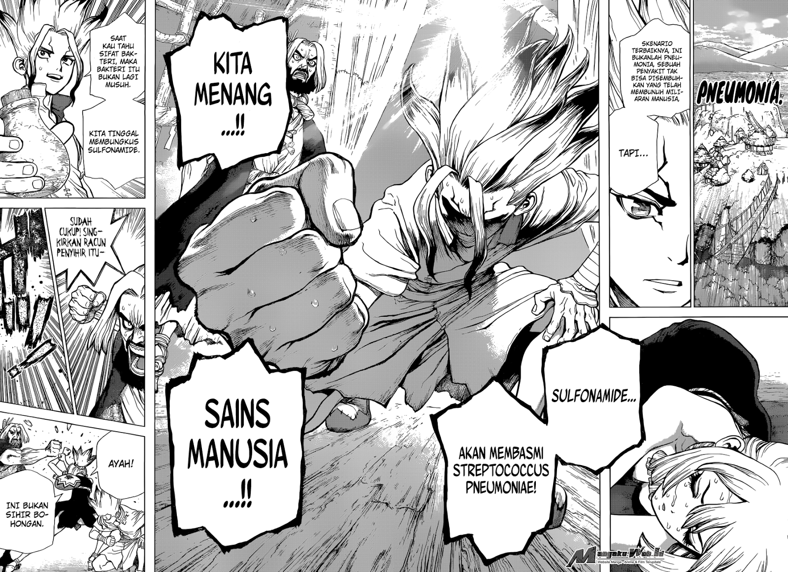 Dr. Stone Chapter 41