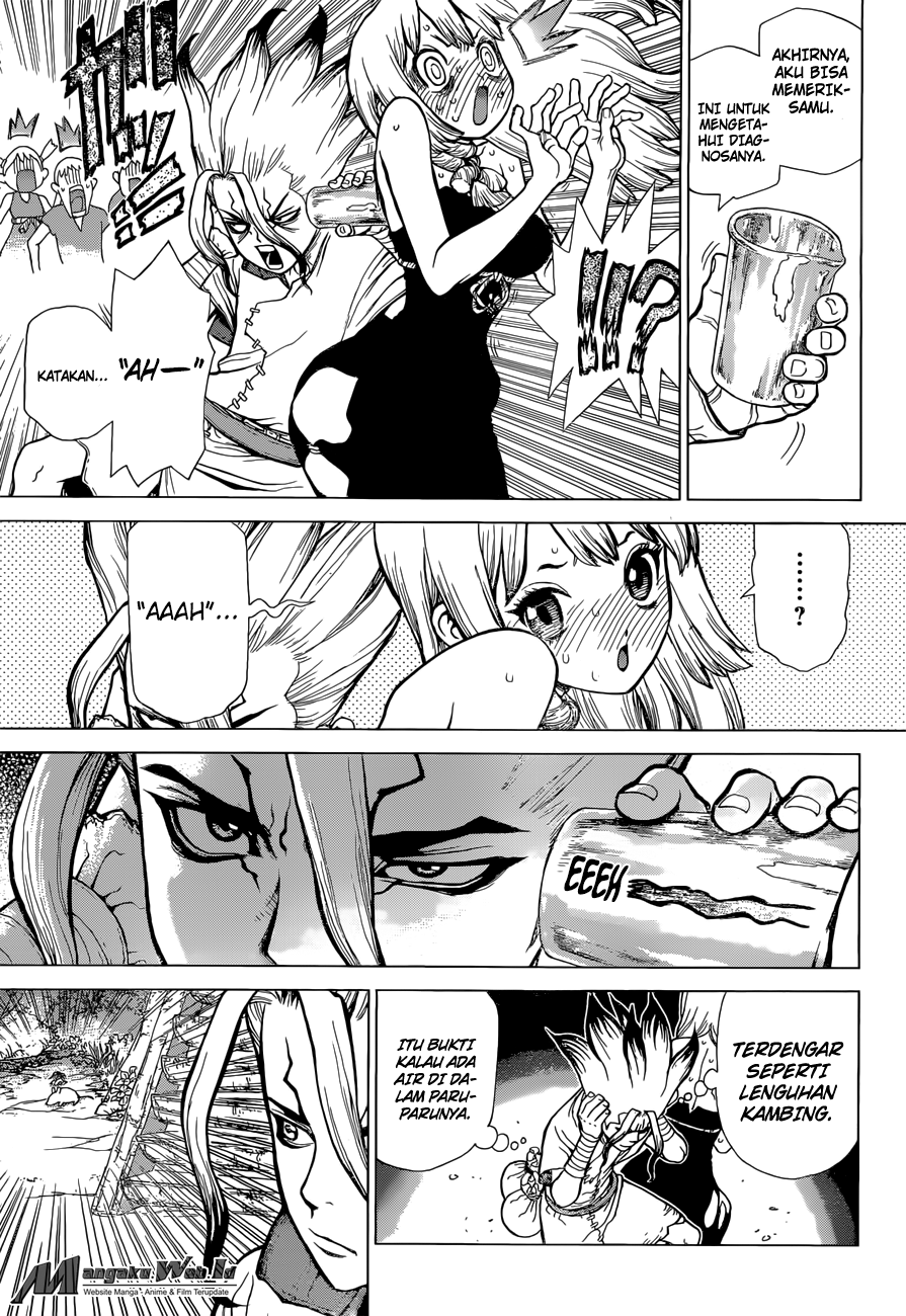 Dr. Stone Chapter 41