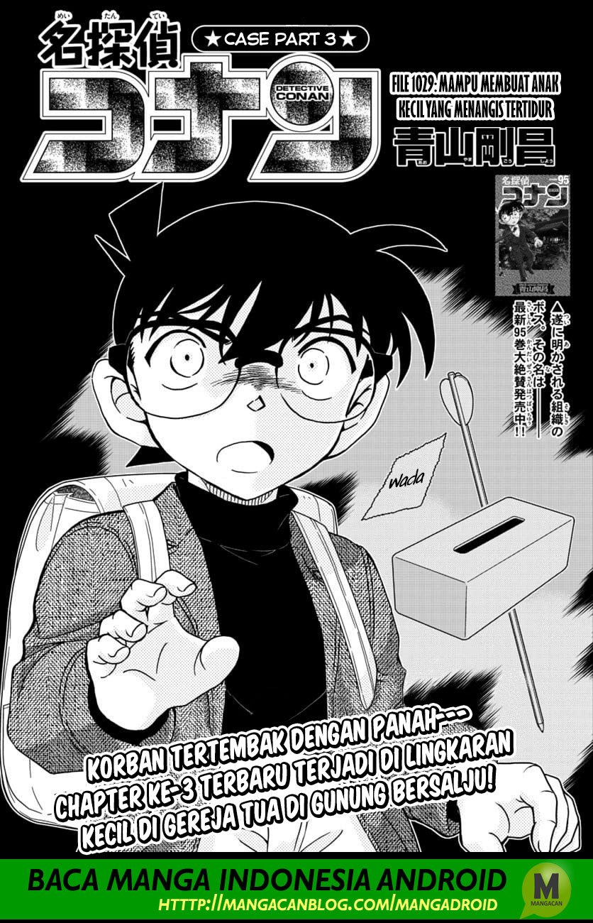 Detective Conan Chapter 1029