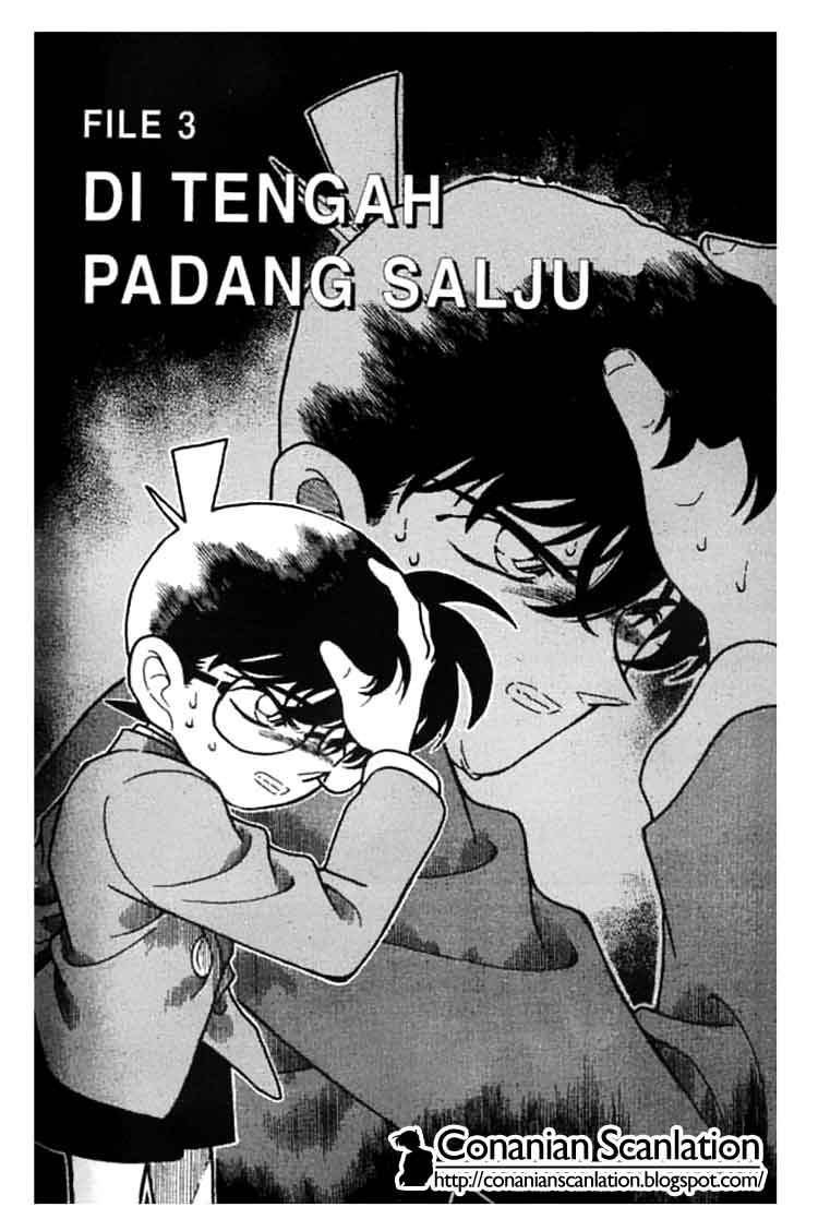 Detective Conan Chapter 193