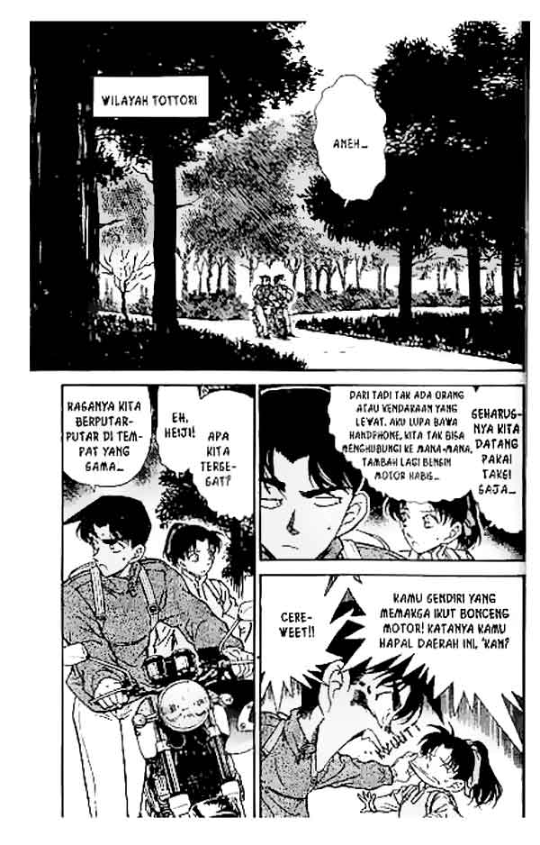 Detective Conan Chapter 246