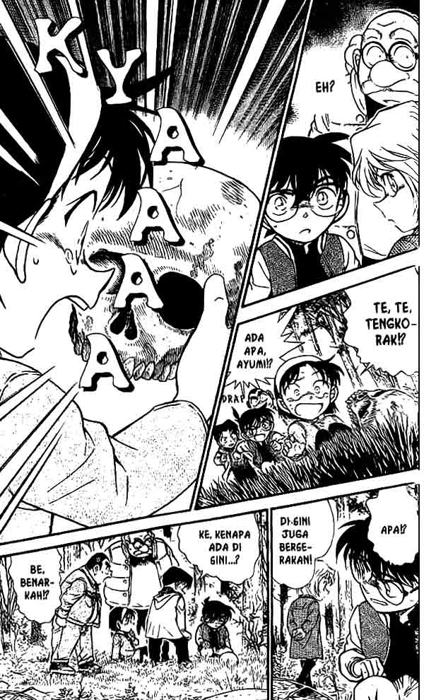 Detective Conan Chapter 466