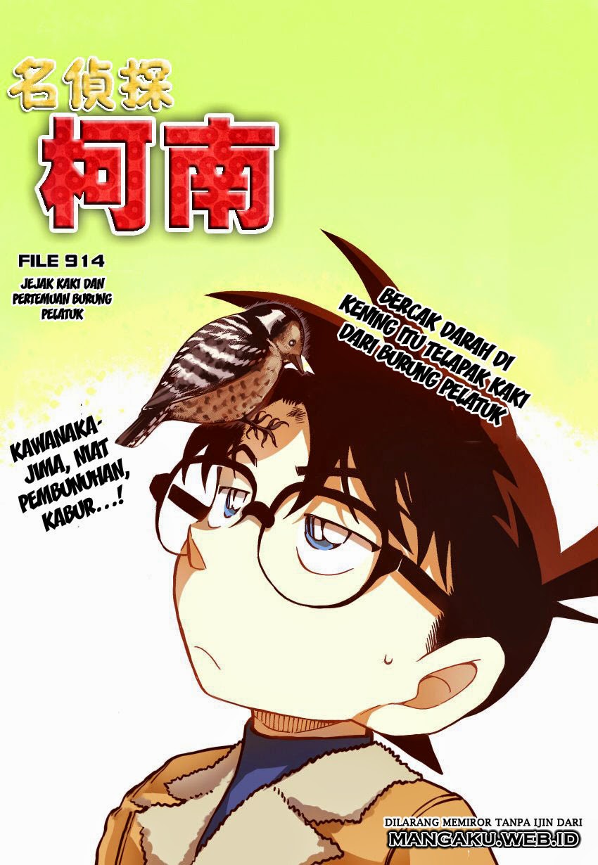 Detective Conan Chapter 914