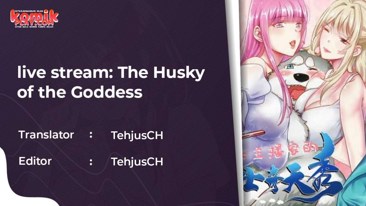 Live Stream: The Husky of the Goddess Chapter 1