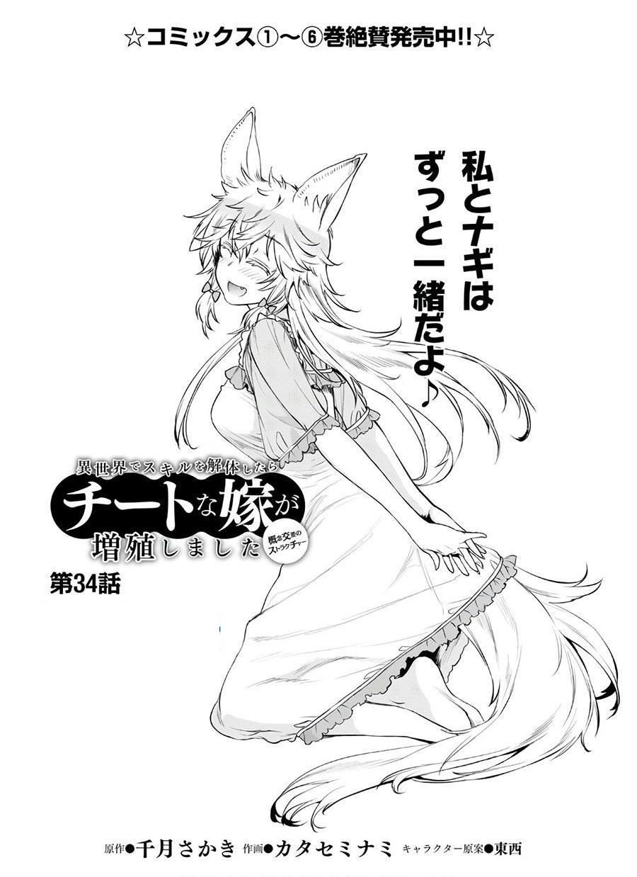 Isekai de Skill wo Kaitai Shitara Cheat na Yome ga Zoushoku Shimashita: Gainen Kousa no Structure Chapter 34