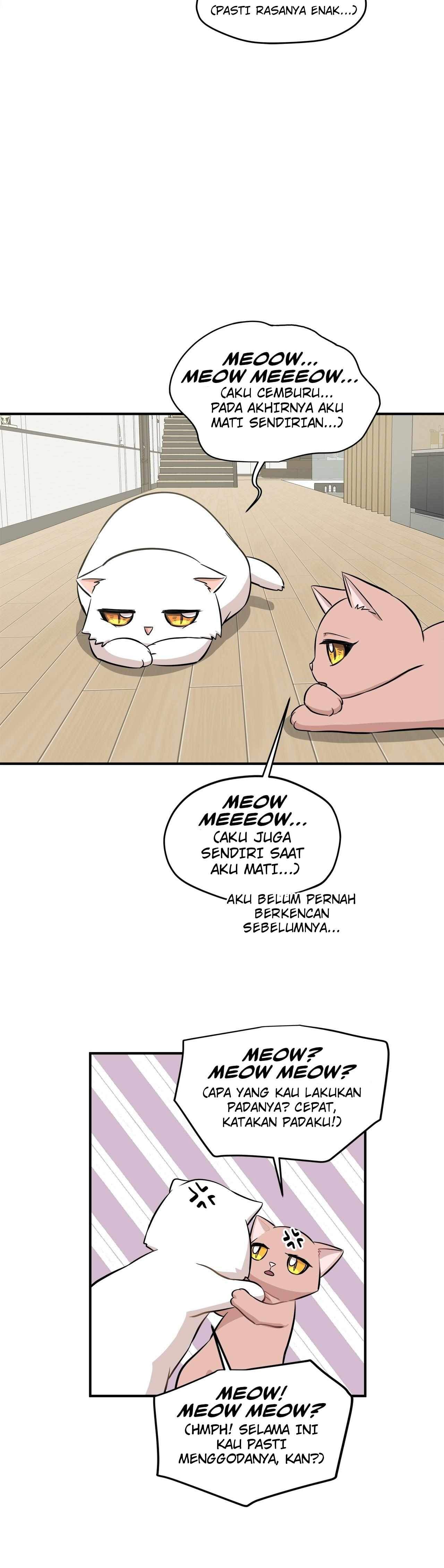 Just for a Meowment Chapter 44