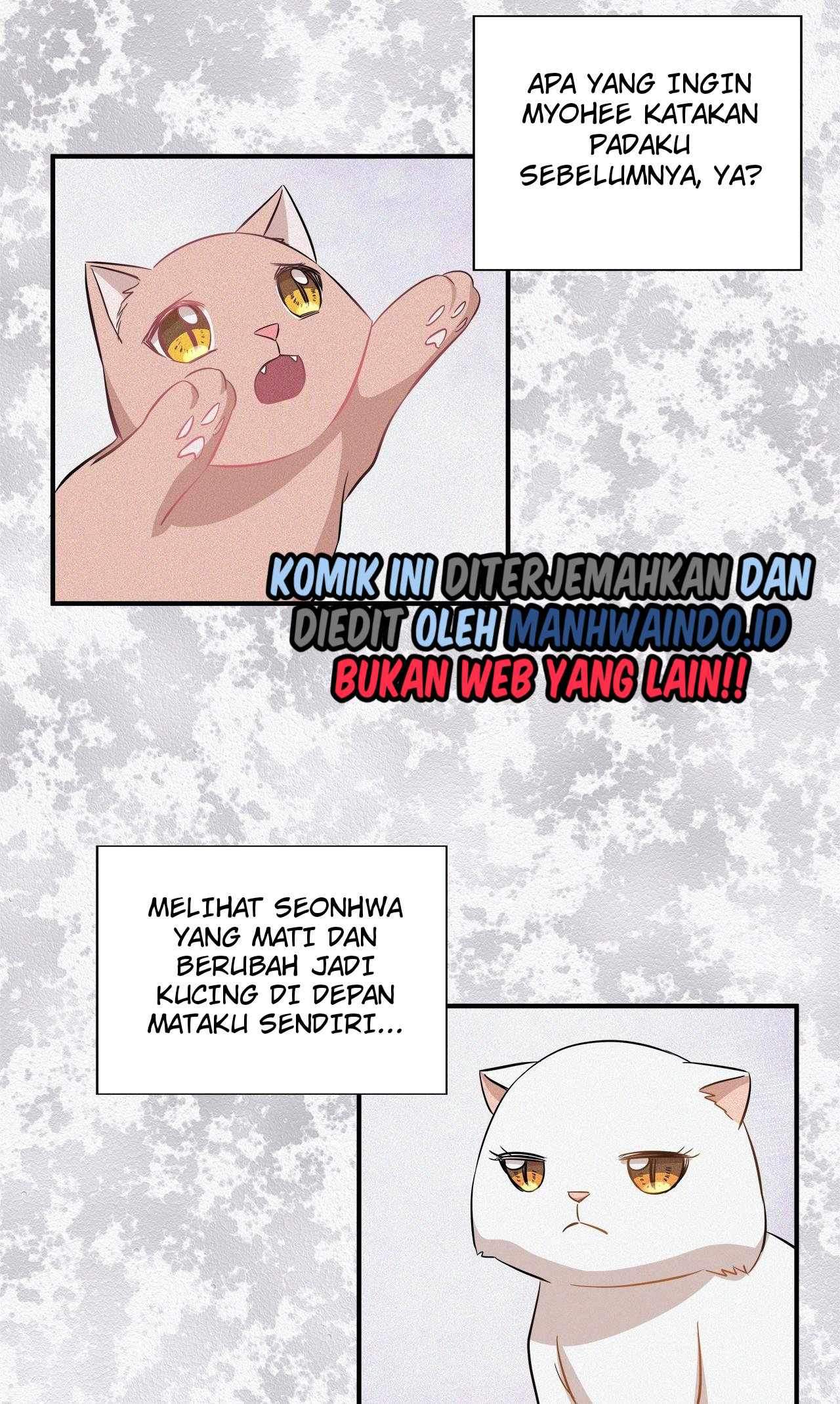 Just for a Meowment Chapter 45