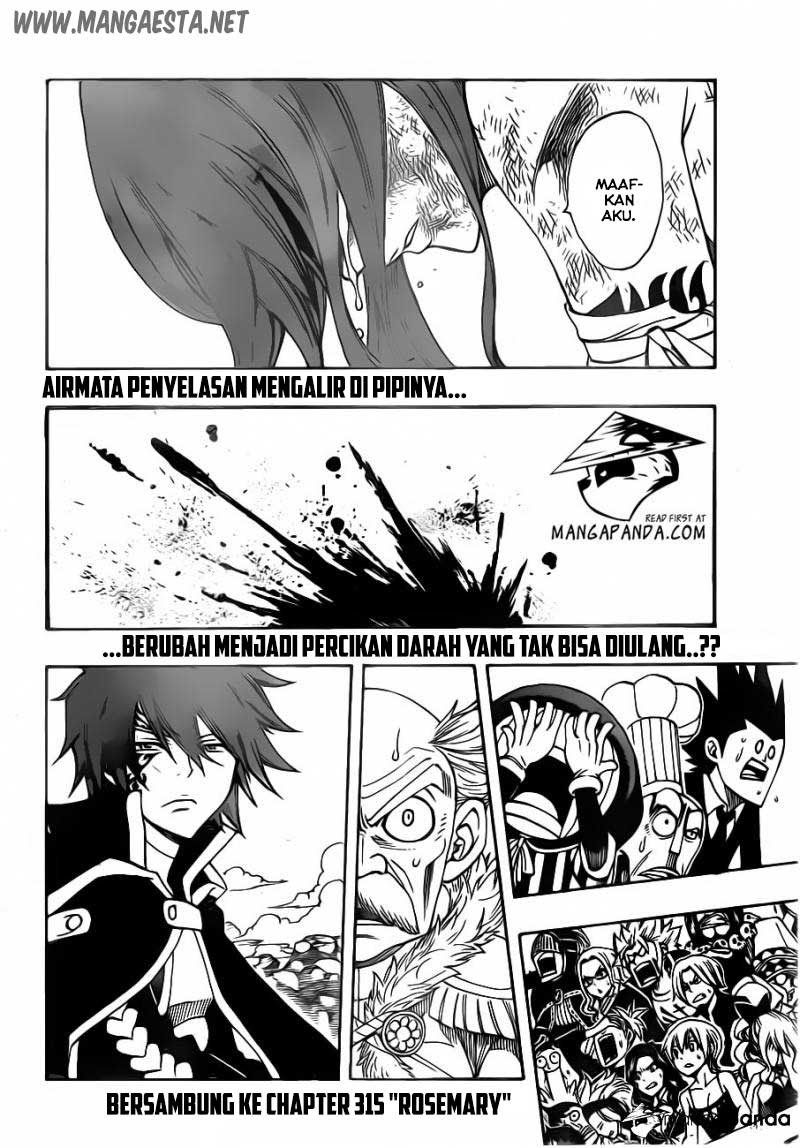 Fairy Tail Chapter 314