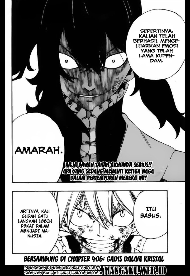 Fairy Tail Chapter 405