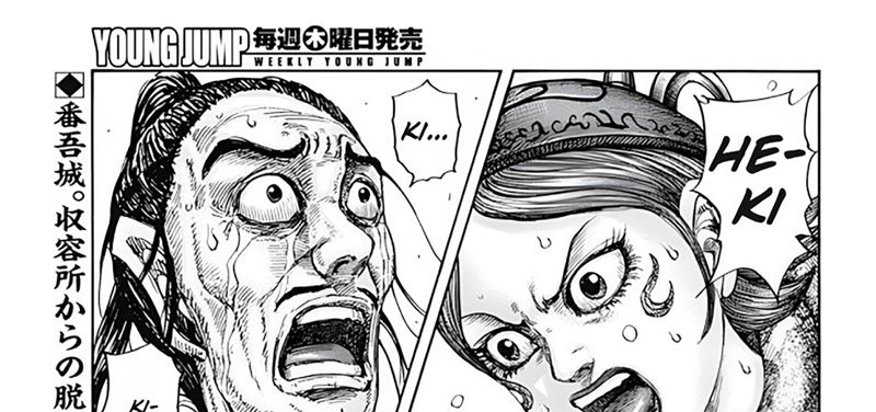 Kingdom Chapter 797