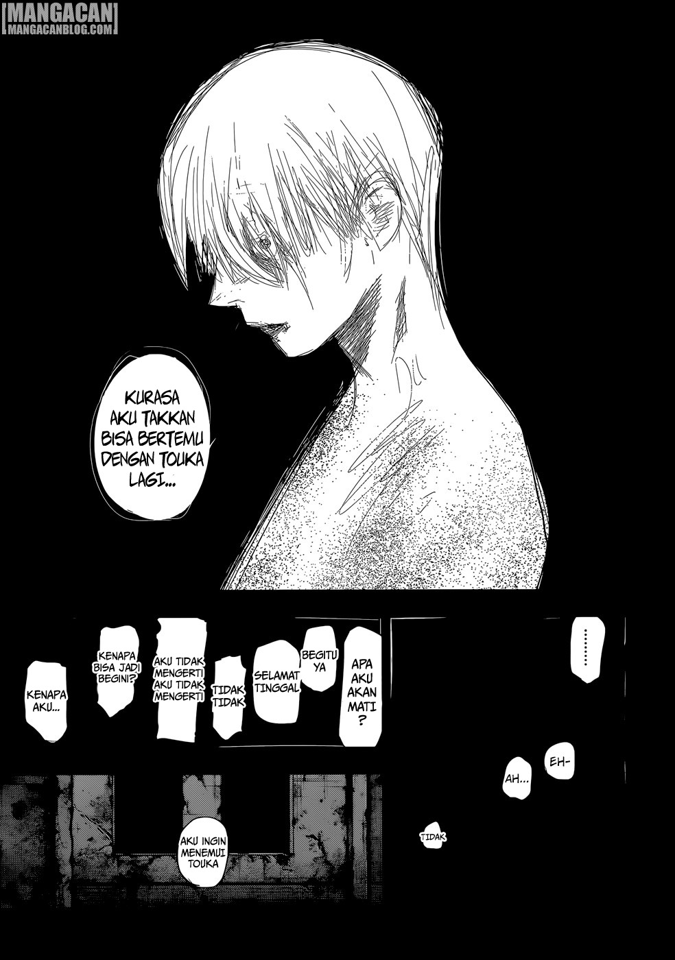 Tokyo Ghoul:re Chapter 144