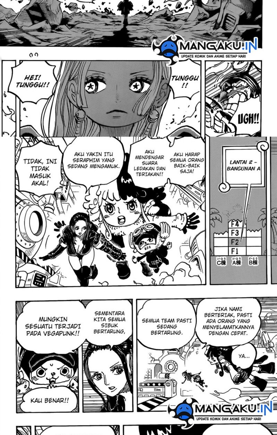 One Piece Chapter 1078