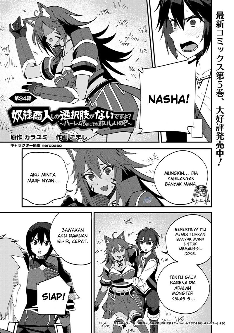 Dorei Shounin shika Sentakushi ga Nai desu yo? Harem? Nani Sore Oishii no? Chapter 34