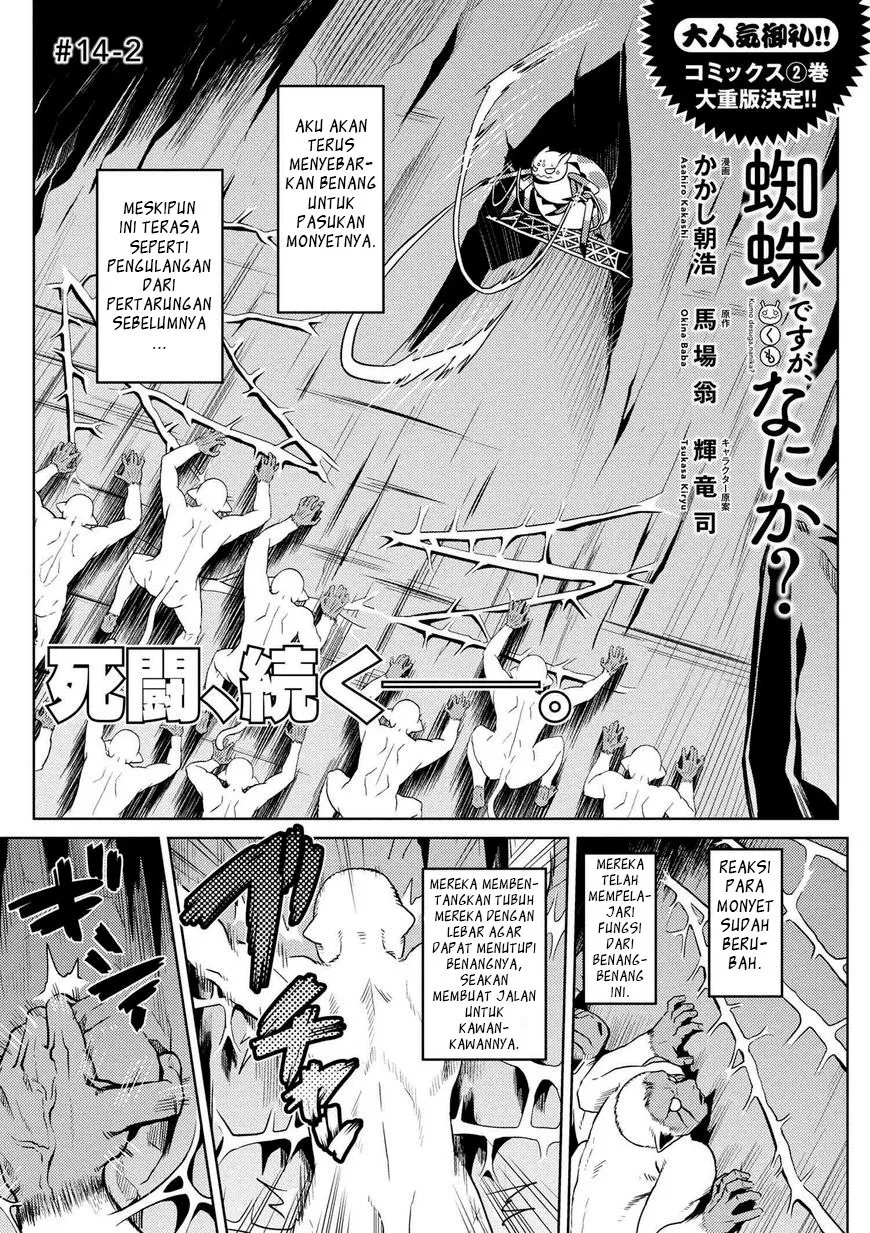 Kumo Desu ga, Nani ka? Chapter 14.2