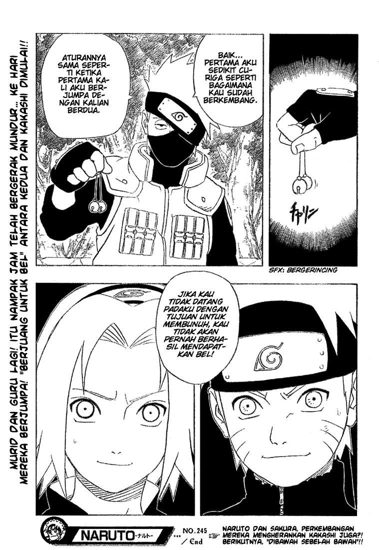 Naruto Chapter 245