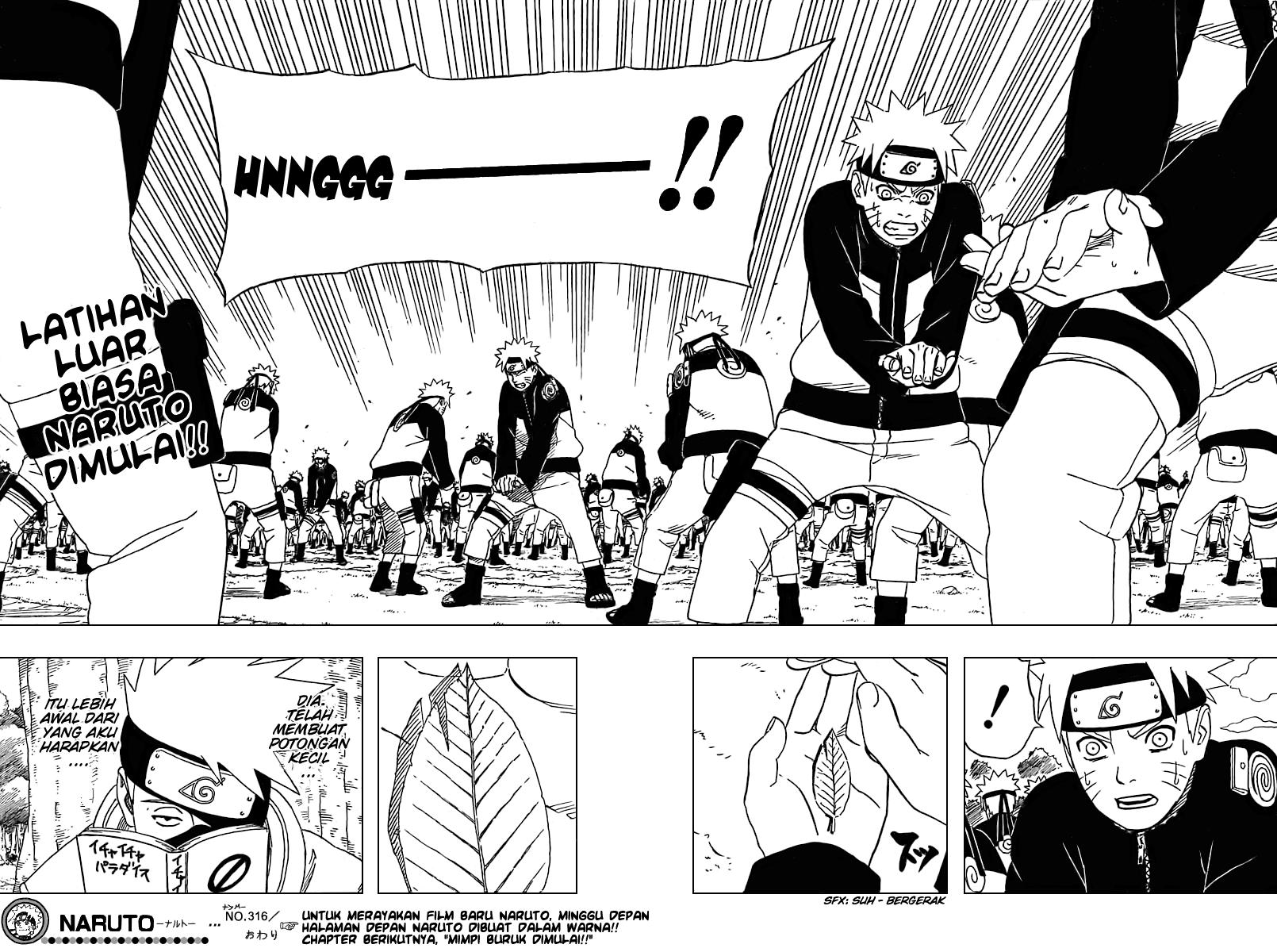 Naruto Chapter 316