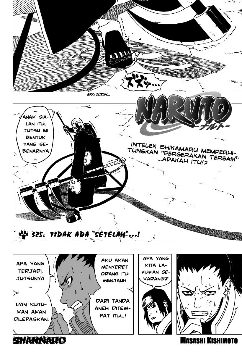 Naruto Chapter 325