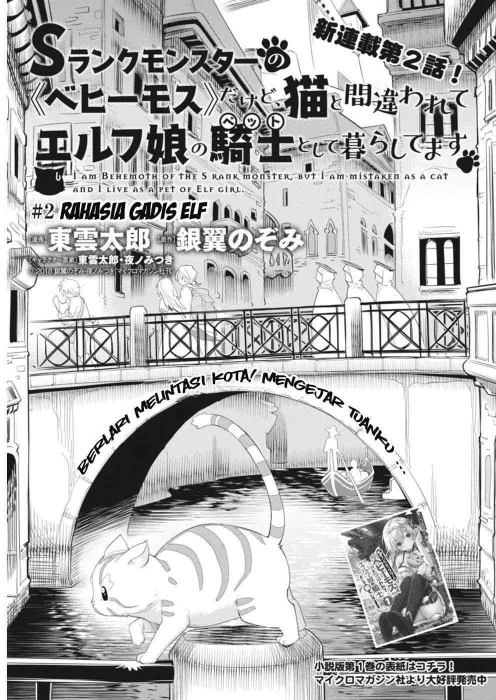 S-Rank Monster no Behemoth Dakedo, Neko to Machigawarete Erufu Musume no Kishi (Pet) Toshite Kurashitemasu Chapter 2